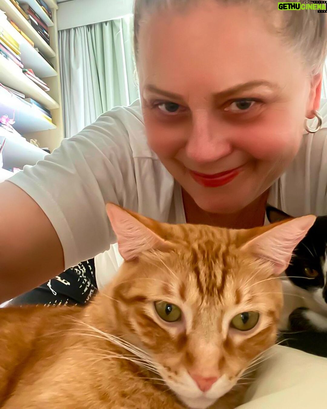 Vera Fischer Instagram - . Sextou ❤️ Com 🐈⬛ Aisha Com 🐈Yuki 🐾❣️🐾❣️🐾❣️🐾❣️🐾❣️🐾 Os meus amores peludinhos 🫠 Nada mais puro e lindo que o amor dos nossos pets Uma sexta feira bemmm gostosa e cheia de graça pra vcs 🫶 Sua hummm hoje, Veroca 😉 . #adote #pets #alegria# vida