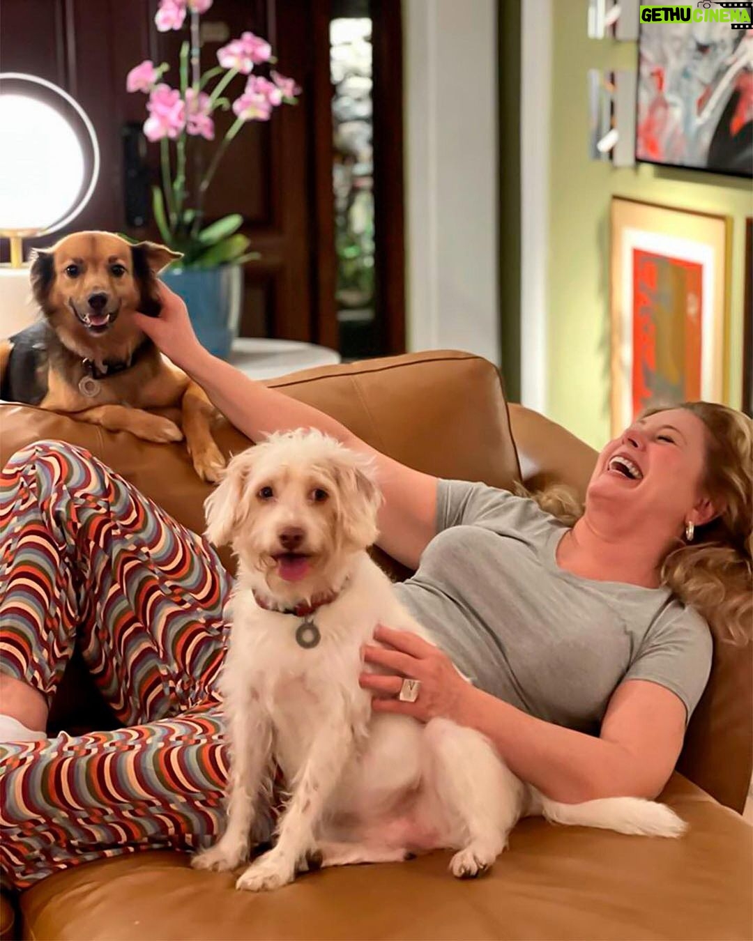 Vera Fischer Instagram - . ❤️Felicidade❤️ #belinha #brisa 🐶 🐶 @tadeuaguiaroficial @eduardo_bakr ❣️Obrigada pela tarde inesquecível ❣️ Uma linda quarta-feira pra todos ❣️ Beijos dog/ vibes 💋💋 Sempre sua Vera