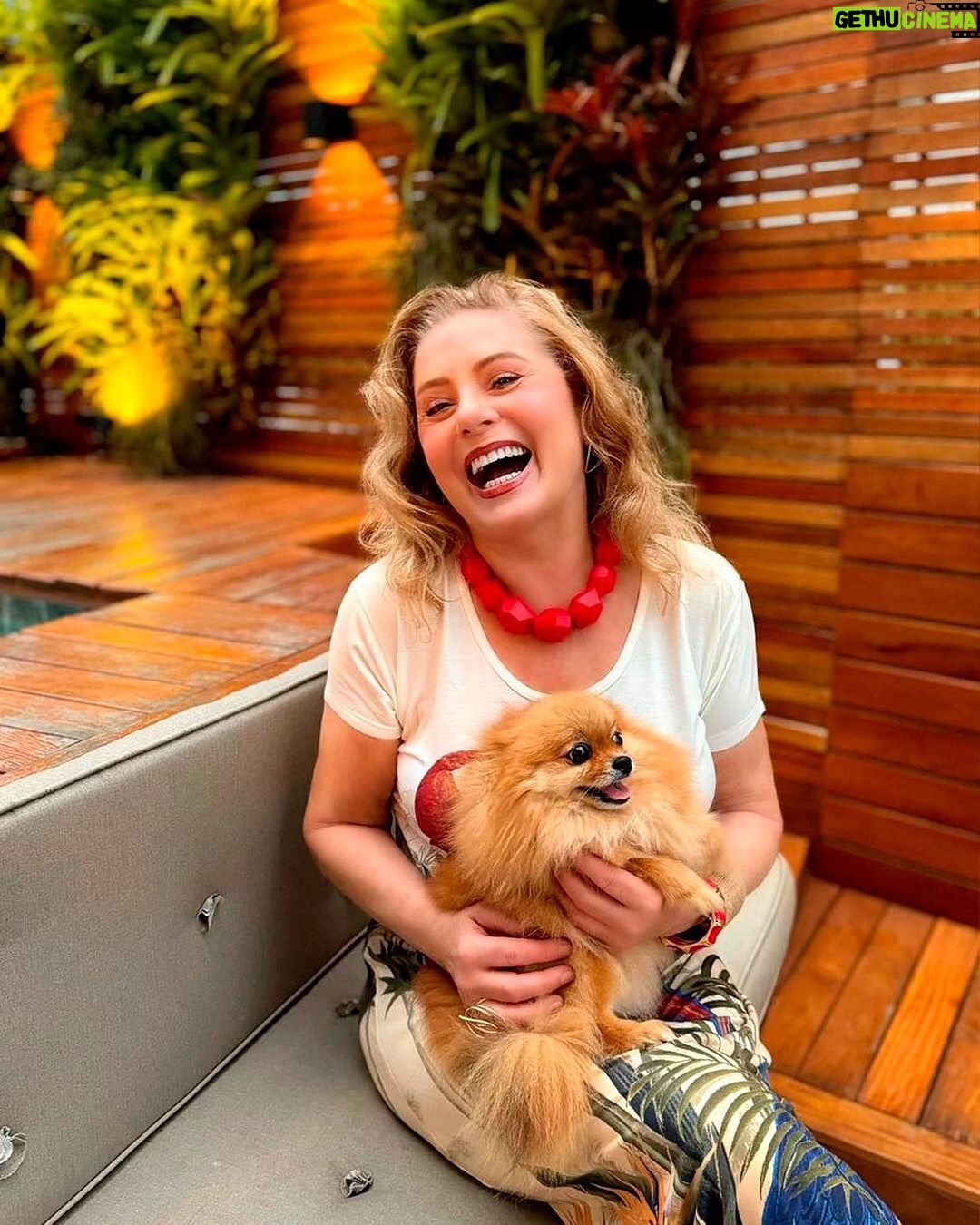 Vera Fischer Instagram - . ❣️Amizade ❣️ Bem mais precioso que nos conforta e nos faz vibrar. Viva a Amizade ! 🌿🌹🌿🌹🌿🌹🌿🌹🌿🌹 Uma terça-feira repleta de carinho pra todos vcs V❤️E❤️R❤️A