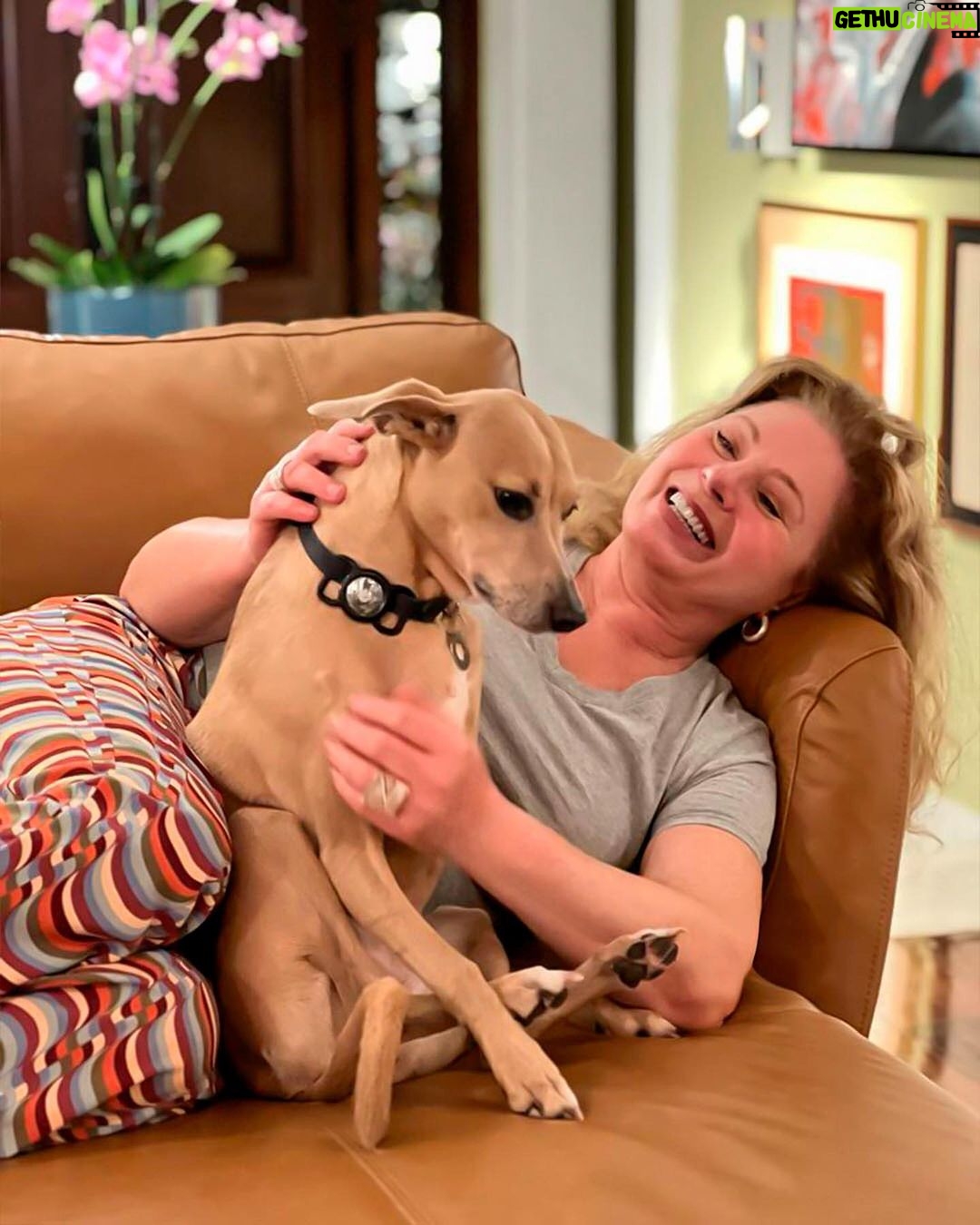 Vera Fischer Instagram - . ❤️Felicidade❤️ #belinha #brisa 🐶 🐶 @tadeuaguiaroficial @eduardo_bakr ❣️Obrigada pela tarde inesquecível ❣️ Uma linda quarta-feira pra todos ❣️ Beijos dog/ vibes 💋💋 Sempre sua Vera