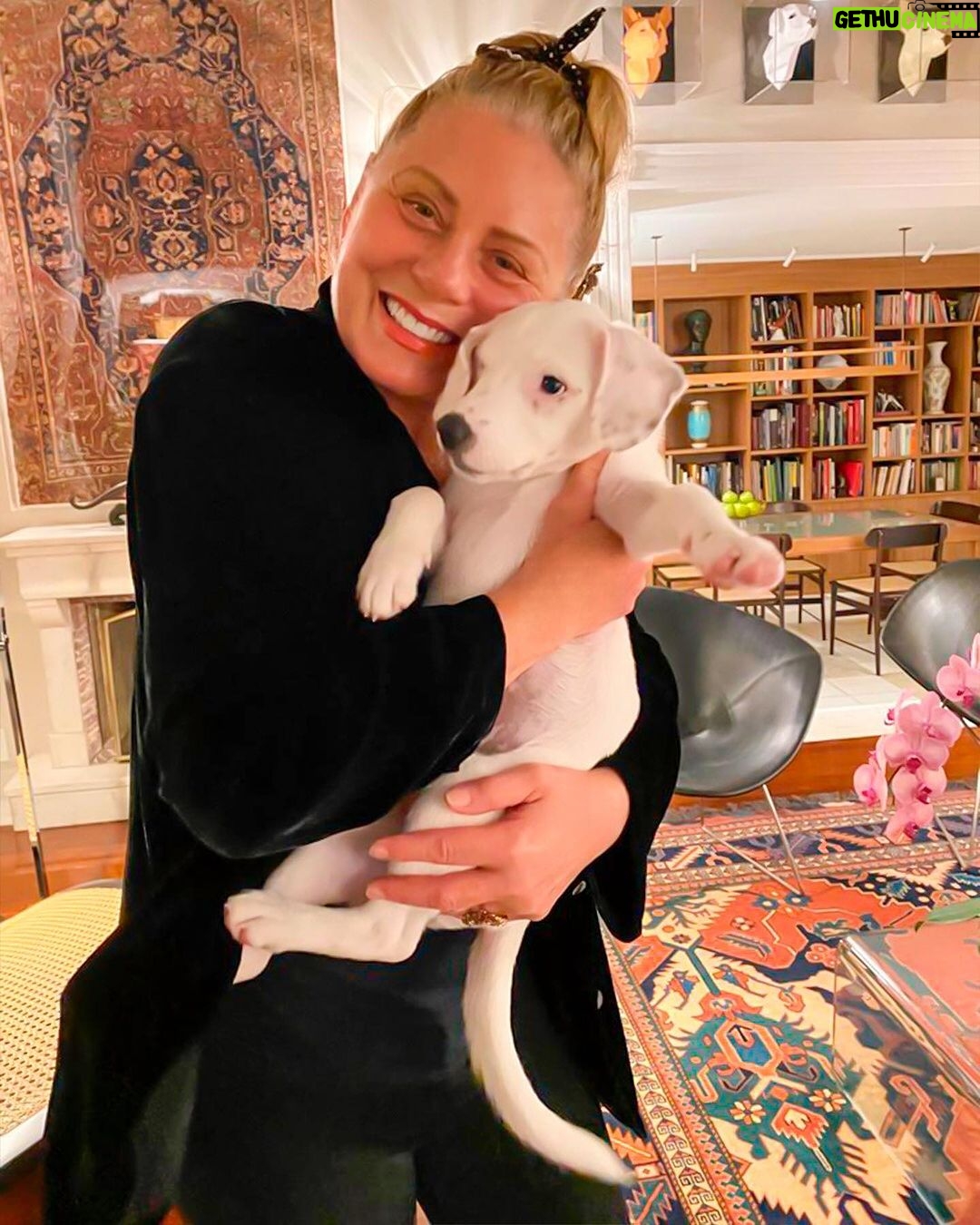Vera Fischer Instagram - . Olhem só que amor é a #branca 🤍 Chegou assim pequenina na casa de @tadeuaguiaroficial e @eduardo_bakr Dose tripla de fofura 🐶♥️ Mas agora... ela é a pestinha da casa, deixa todos malucos 🤯🤯 Heheheh 🫶 Amor é isso e um pouco mais. Beijokas amados 😽 Sua gateira Vera