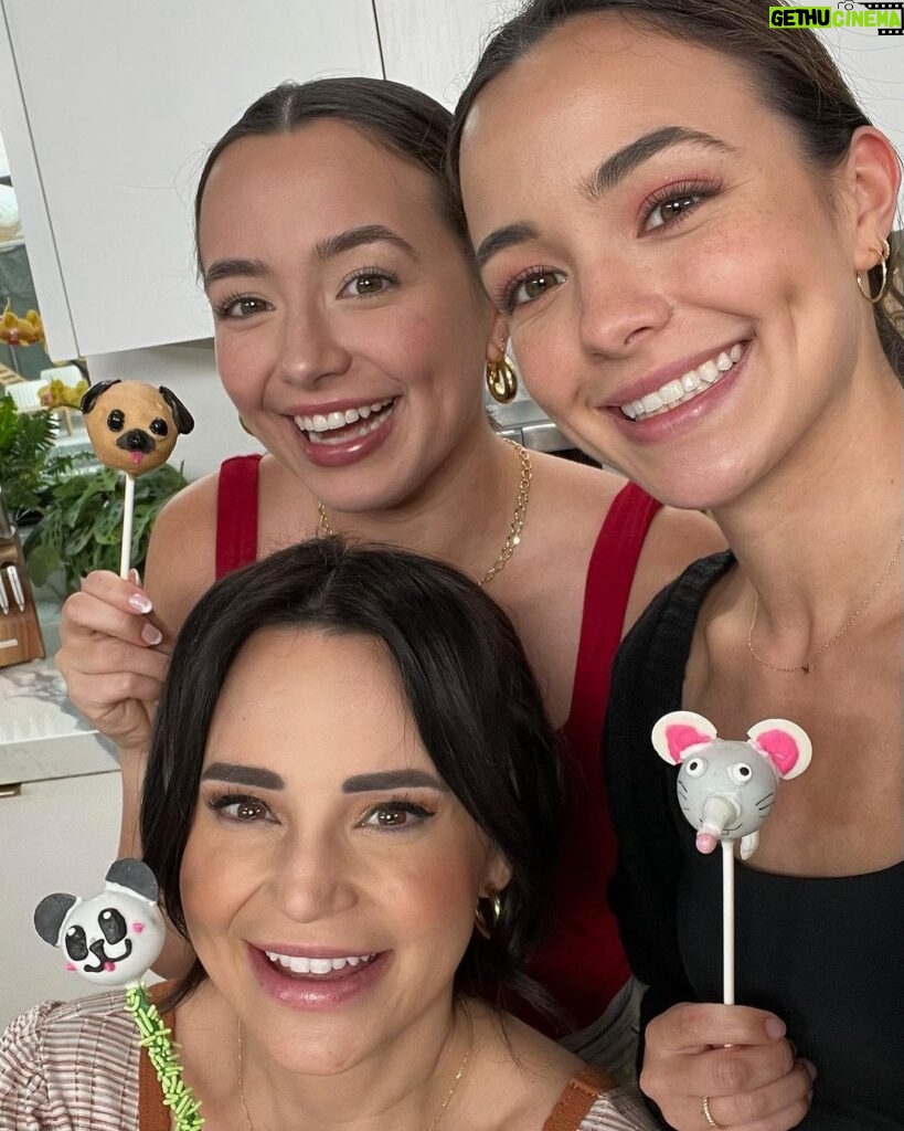 Veronica Merrell-Burriss Instagram - 🚨Stop your scrolling - New collab alert! 🚨Watch our Pro vs Noob Cake Pop Art challenge featuring the one and only @rosannapansino on YouTube.com/MerrellTwins