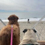 Veronica Merrell-Burriss Instagram - family beach day🫶☀️ Los Angeles, California