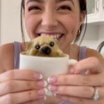 Veronica Merrell-Burriss Instagram - A Pugguccino ☕️