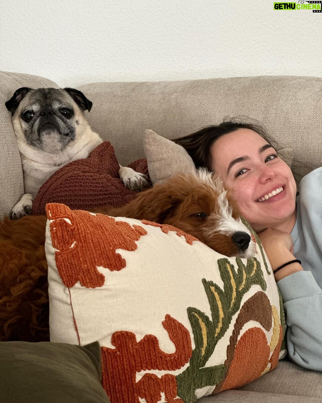Veronica Merrell-Burriss Instagram - a couple of couch potatoes 🛋️🥔