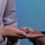 Veronica Merrell-Burriss Instagram - Roppy? Gupni? Either way… We really said “Welcome to our YouTube Channel” 🤝💜🐾