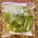 Veronica Merrell-Burriss Instagram - Now that’s what I call Farm to Table 🥬👩‍🌾🥗