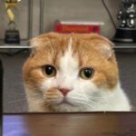 Wheein Instagram - ㅋ...