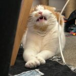 Wheein Instagram - ㅋ...