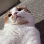 Wheein Instagram - 얼빡 미모 오반데..;