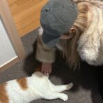 Wheein Instagram - - TO. 2024 안녕 ? 나 휘인쓰. 30살인디