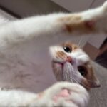 Wheein Instagram - 얼빡 미모 오반데..;