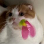Wheein Instagram -