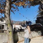 Wheein Instagram - 내가 좋아하는 바다, 고양이, 나무