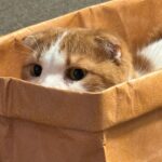 Wheein Instagram -