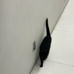 Wheein Instagram -