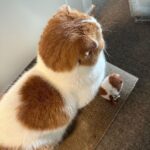 Wheein Instagram - 하루만 있으면 앙콘이라니...?