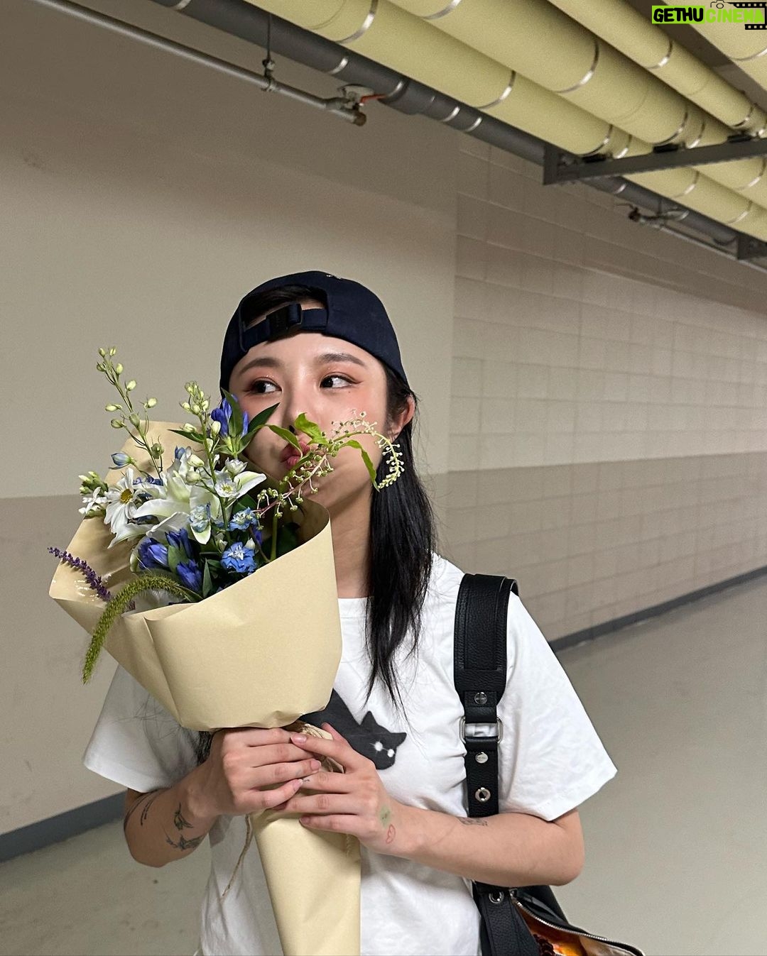 Wheein Instagram - 귀여운거, 고양이, 맛있는거 최고 그리고 내 앨범도 짱(일거라고 해주세요)