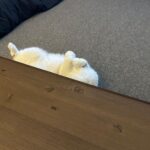 Wheein Instagram - 하루만 있으면 앙콘이라니...?