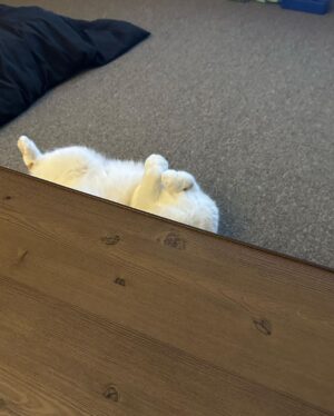 Wheein Instagram - 하루만 있으면 앙콘이라니...?