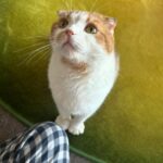Wheein Instagram - 남친짤