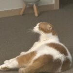Wheein Instagram - 남친짤