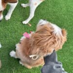 Wheein Instagram -
