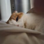 Wheein Instagram - 남친짤
