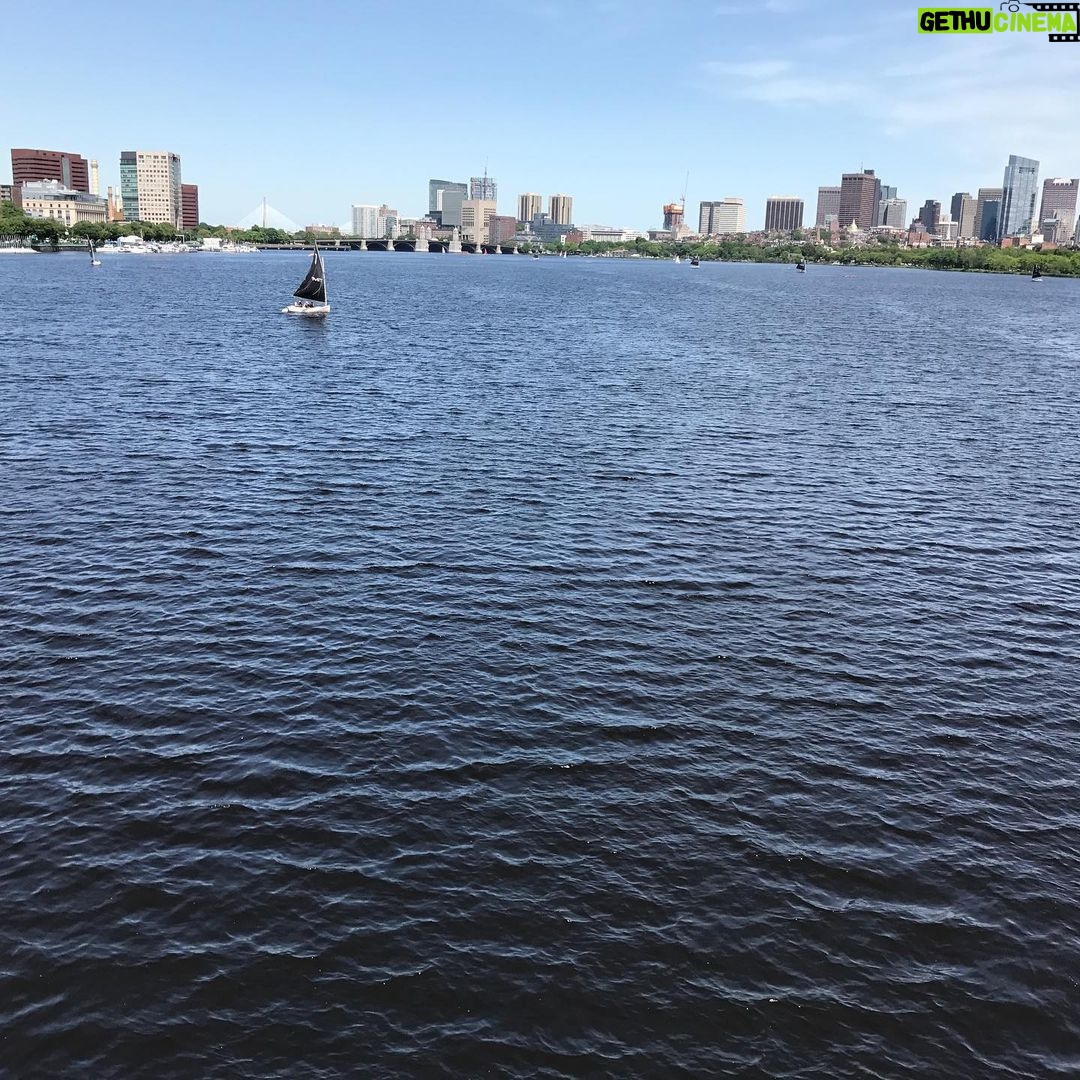 Woody Harrelson Instagram - Beautiful Boston