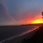 Woody Harrelson Instagram - California Dreamin