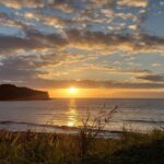Woody Harrelson Instagram - Aloha from paradise!!