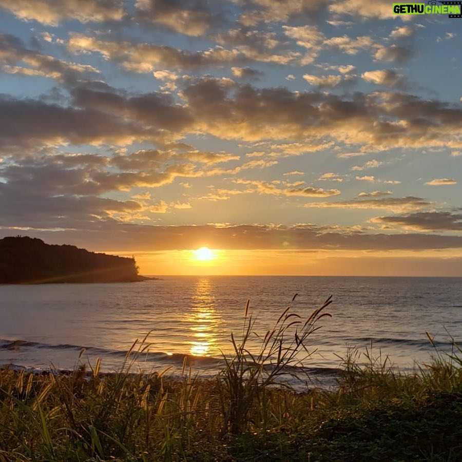 Woody Harrelson Instagram - Aloha from paradise!!