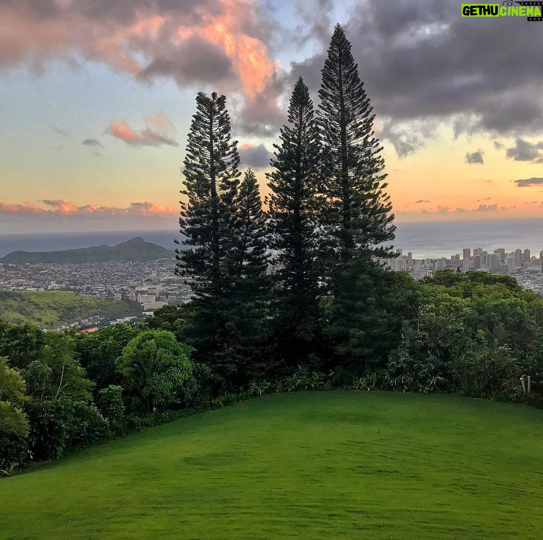 Woody Harrelson Instagram - Hello Honolulu!🌴
