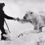 Woody Harrelson Instagram - Russian soldier near the north pole in 1950s. Makes me hopeful...