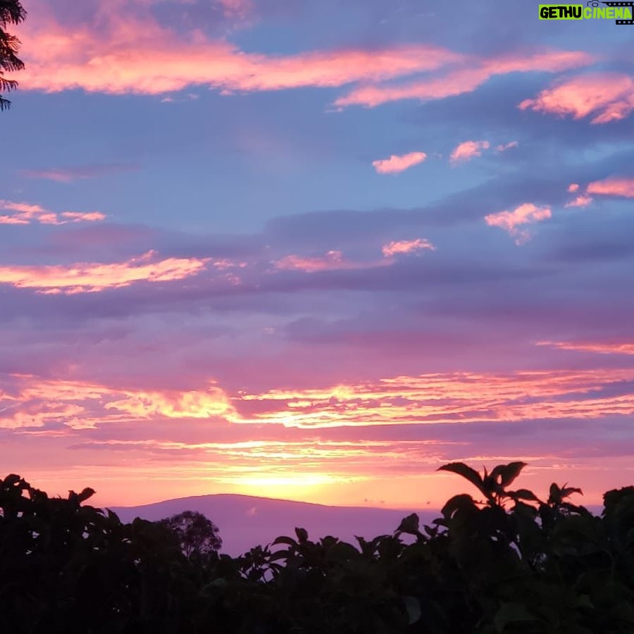 Woody Harrelson Instagram - Nt b4 the storm! A beautiful sunset last nt #hurricanelane