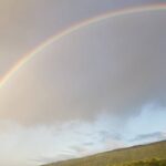 Woody Harrelson Instagram - As my daughter Makani says, "On bad days barf rainbows then you will feel better"