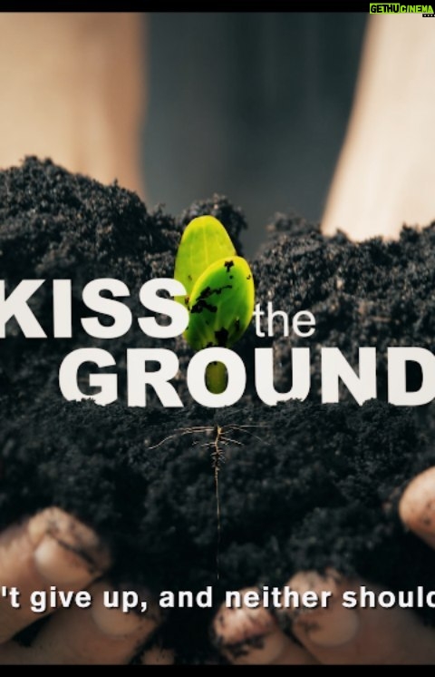Woody Harrelson Instagram - Never thought I'd be so excited & hopeful over dirt. The cure to climate change is here & it's been right under our feet the whole time. @kissthegroundmovie @kisstheground