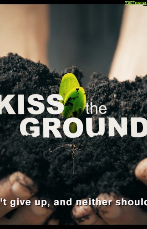 Woody Harrelson Instagram - Never thought I'd be so excited & hopeful over dirt. The cure to climate change is here & it's been right under our feet the whole time. @kissthegroundmovie @kisstheground