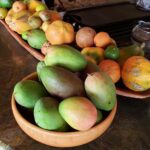 Woody Harrelson Instagram - #plantbasedparty Please join me and post a photo of a plant based meal with #plantbasedparty which unlocks a donation (if we get 5000) to @supportandfeed to feed children and families in need this Summer!