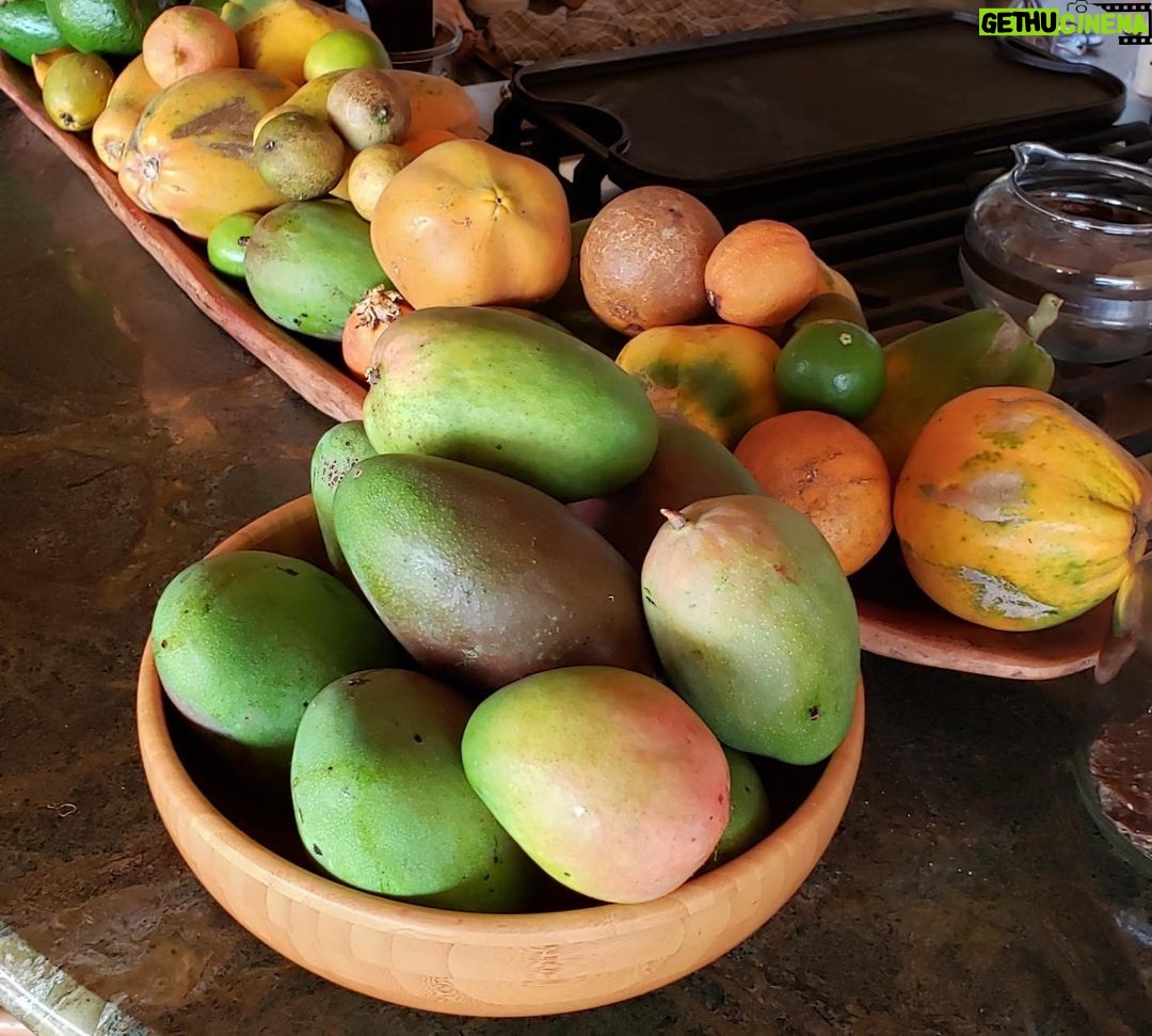 Woody Harrelson Instagram - #plantbasedparty Please join me and post a photo of a plant based meal with #plantbasedparty which unlocks a donation (if we get 5000) to @supportandfeed to feed children and families in need this Summer!