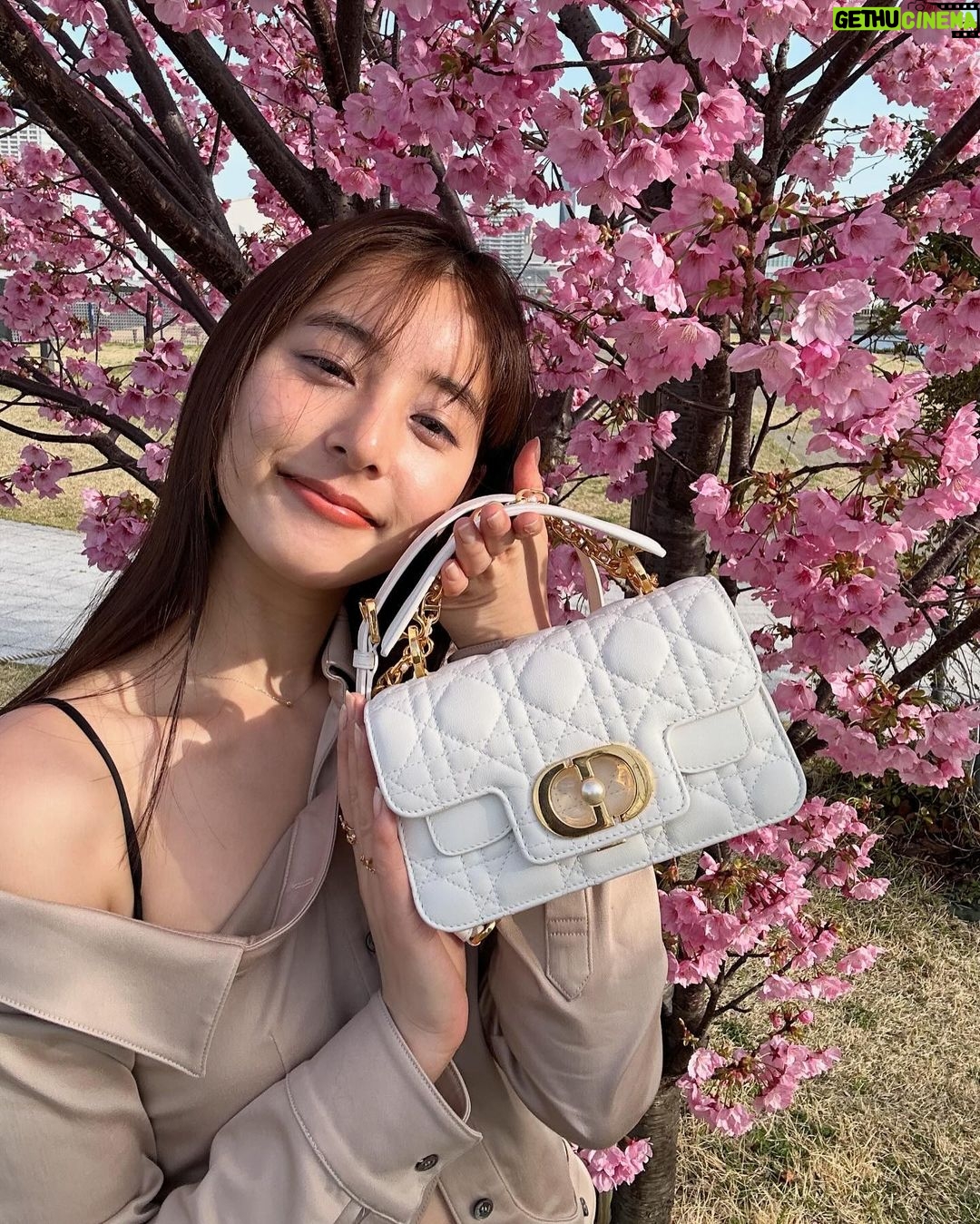 Yuko Araki Instagram - ππΈβ‘ππ bag : @dior tops : @rokhofficial bottom : @johnlawrencesullivan_official ring : @dior necklace : @enasoluna_official #fashion #ootd #bag #dior #sakura πΈγ #diorjoaillerie #supportedbydior β‘