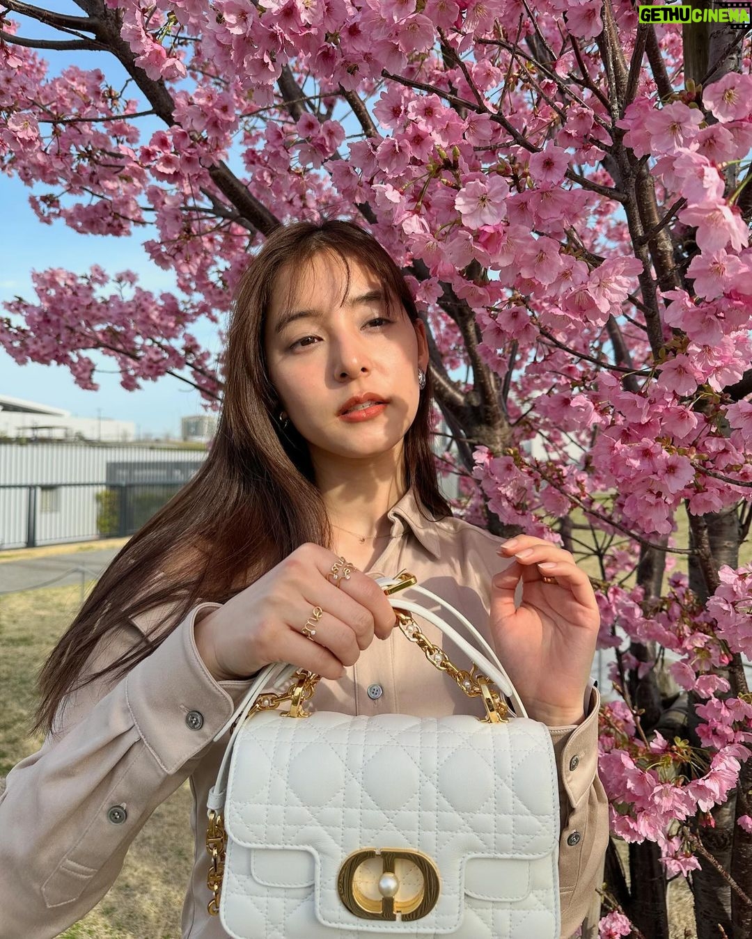 Yuko Araki Instagram - ππΈβ‘ππ bag : @dior tops : @rokhofficial bottom : @johnlawrencesullivan_official ring : @dior necklace : @enasoluna_official #fashion #ootd #bag #dior #sakura πΈγ #diorjoaillerie #supportedbydior β‘