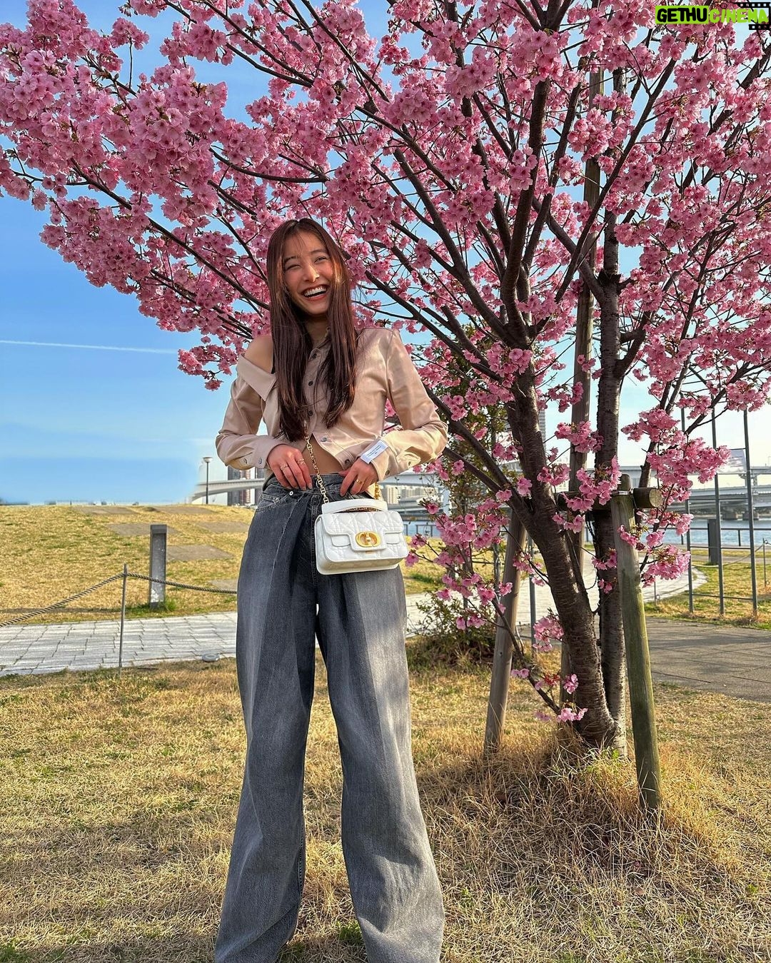 Yuko Araki Instagram - ππΈβ‘ππ bag : @dior tops : @rokhofficial bottom : @johnlawrencesullivan_official ring : @dior necklace : @enasoluna_official #fashion #ootd #bag #dior #sakura πΈγ #diorjoaillerie #supportedbydior β‘