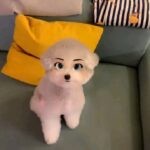 Yura Instagram - 디즈니 실사판... 하..심쿵.....
