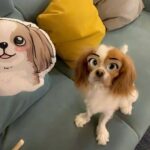 Yura Instagram - 디즈니 실사판... 하..심쿵.....