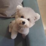 Yura Instagram - 디즈니 실사판... 하..심쿵.....