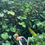 Yuta Jinguji Instagram - 植物園に行ったよ🌴 最後の写真がなんか好きなのよ🤣🤣
