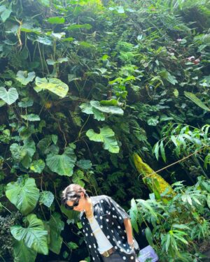 Yuta Jinguji Instagram - 植物園に行ったよ🌴

最後の写真がなんか好きなのよ🤣🤣