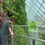 Yuta Jinguji Instagram - 植物園に行ったよ🌴 最後の写真がなんか好きなのよ🤣🤣