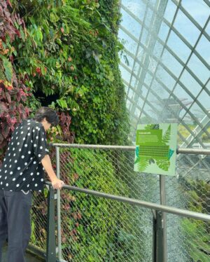 Yuta Jinguji Instagram - 植物園に行ったよ🌴

最後の写真がなんか好きなのよ🤣🤣